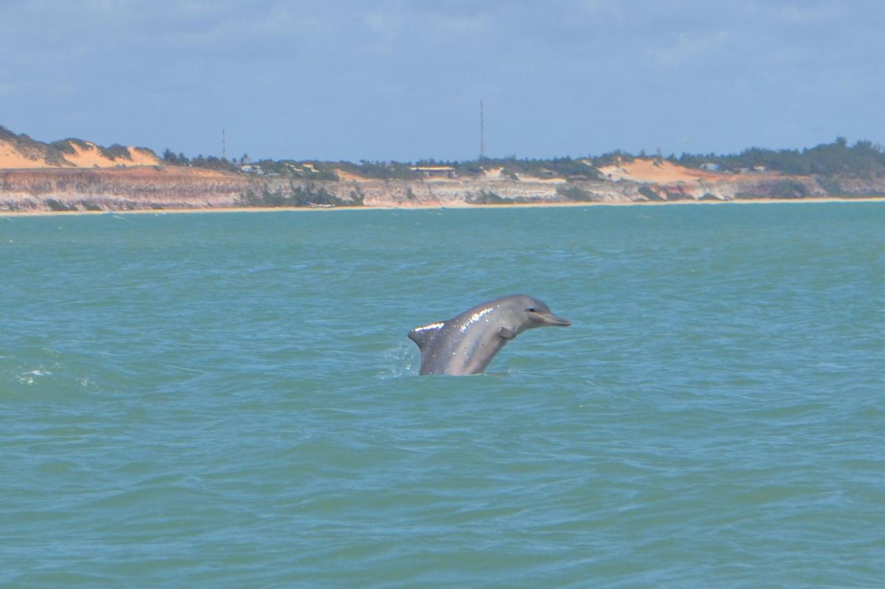Passeio de Jipe 4x4 em Pipa, Litoral Norte e Sul, foto 4